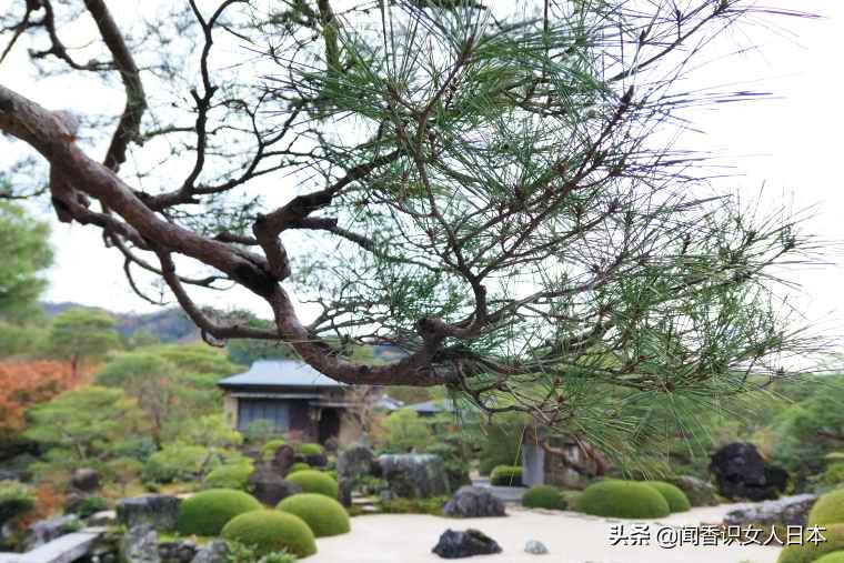 最美日本庭院排行榜,日本最美庭园美术馆