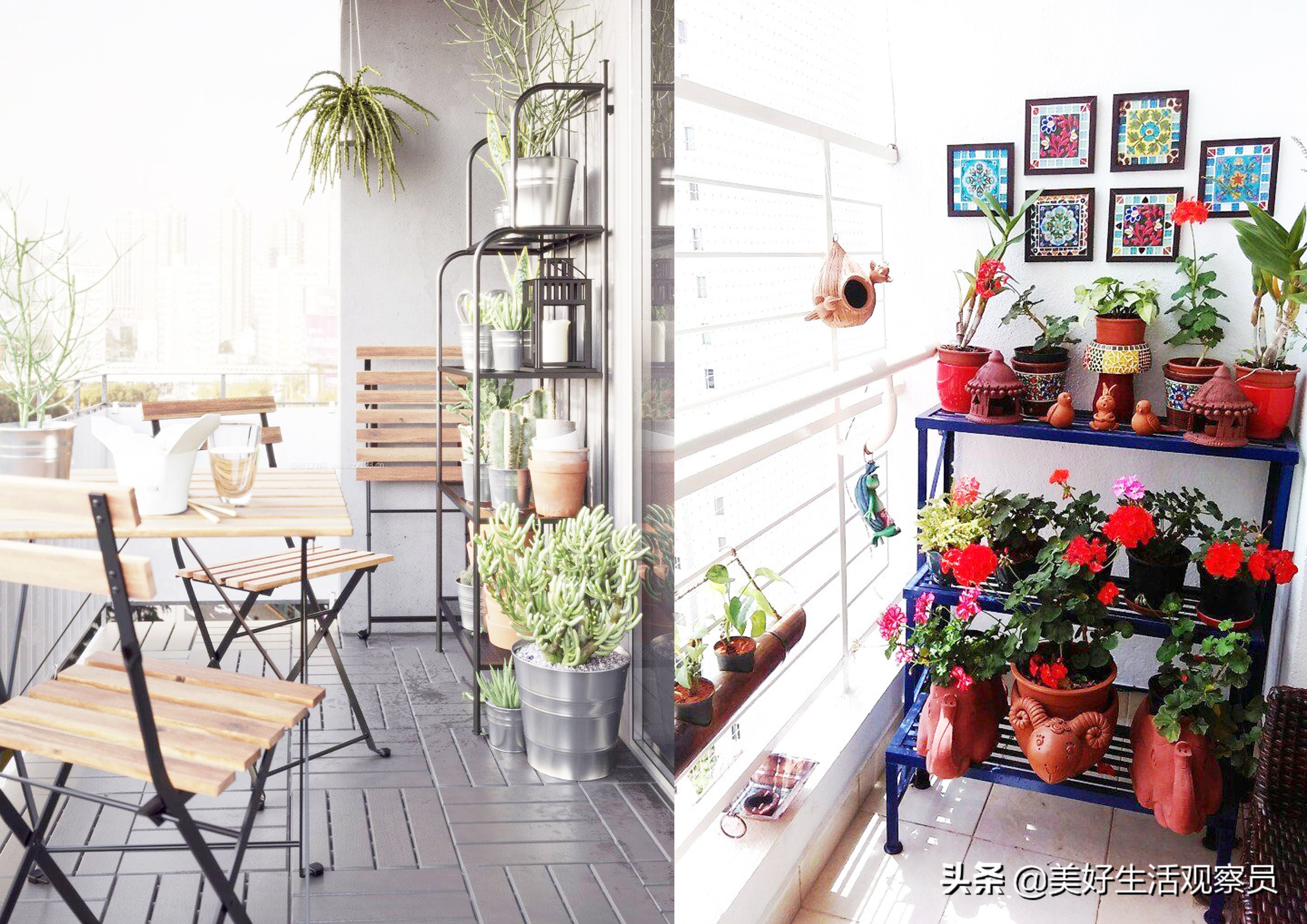 家居阳台绿植花卉,阳台绿植省钱小妙招