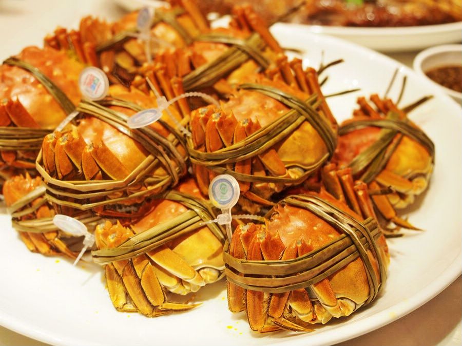沙家浜景区大闸蟹在哪里,秋天爱上上海的理由大闸蟹