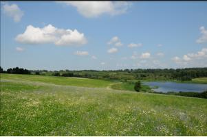 德国hipp喜宝婴儿面霜,德国hipp喜宝奶粉