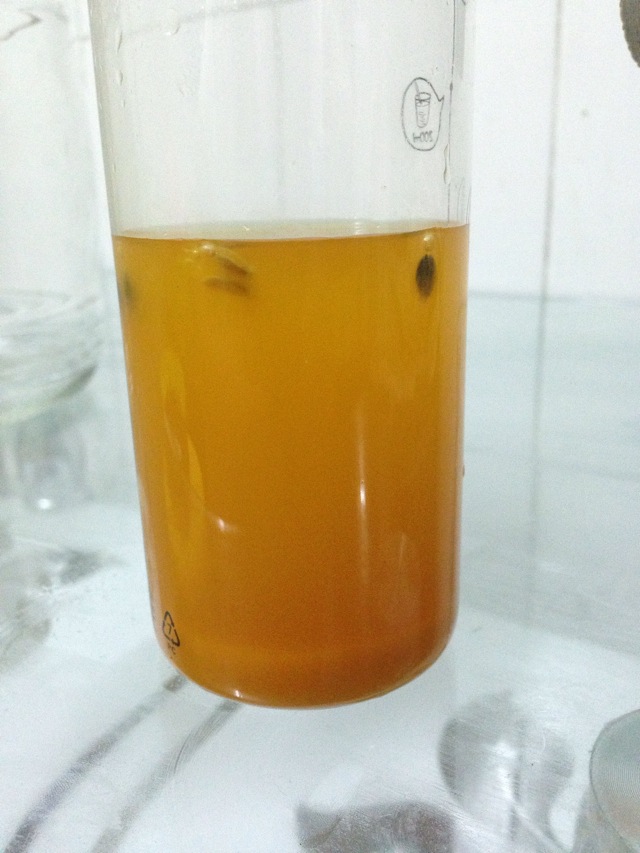 自制各种水果酒正确方法,自制水果酒的做法大全