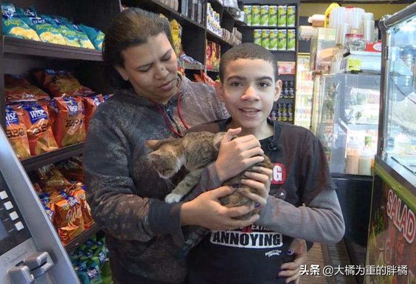 小伙将超市小猫偷偷抱走，却让自闭男孩失去唯一朋友，他也很爱猫