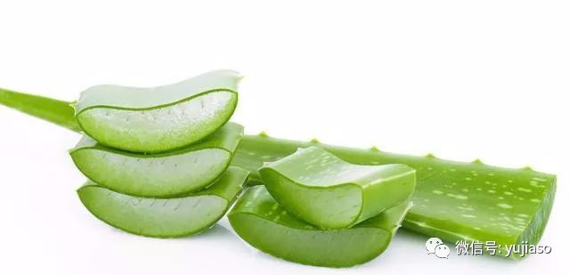 减肥中药减肥药,哪些中药是减肥的药