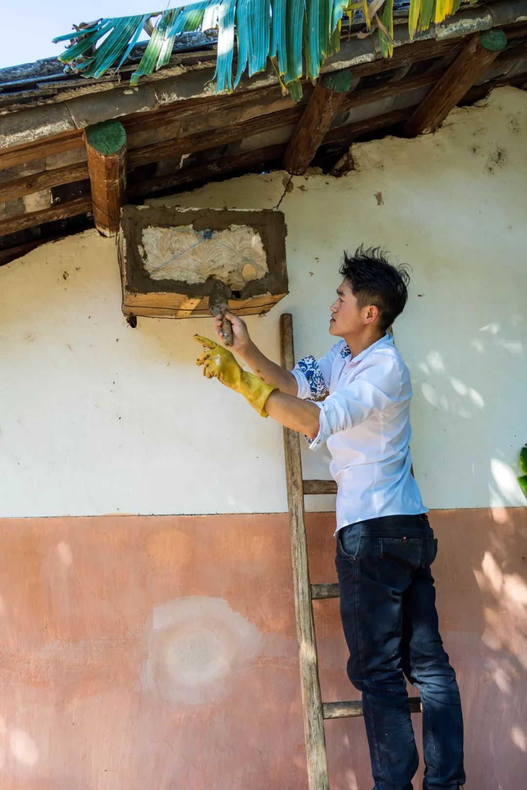 土蜂蜜的取蜜全过程,土蜂蜜取蜜全过程记录
