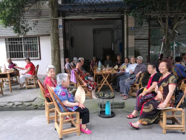 青城山农家乐介绍范文,青城山镇药王山下农家乐的故事