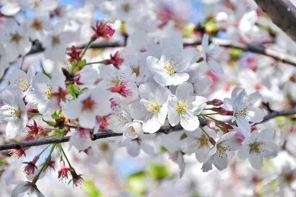 身份证410、411、412开头的，去了郑州就等于去了全世界