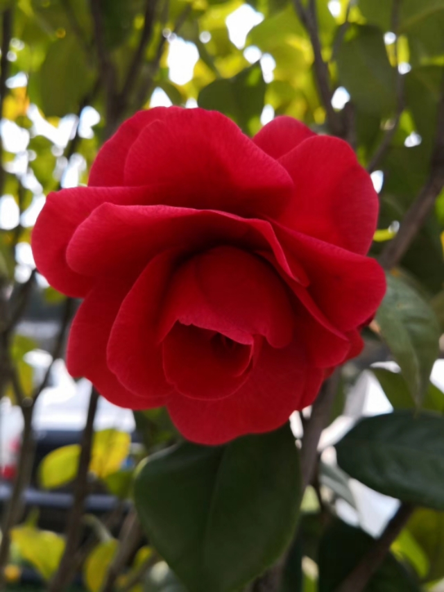 睡不着怎么办啊原视频,睡不着怎么办呀视频