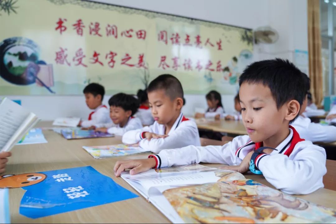 漳州龙文区实验小学排名,漳州龙文区公办小学有哪些