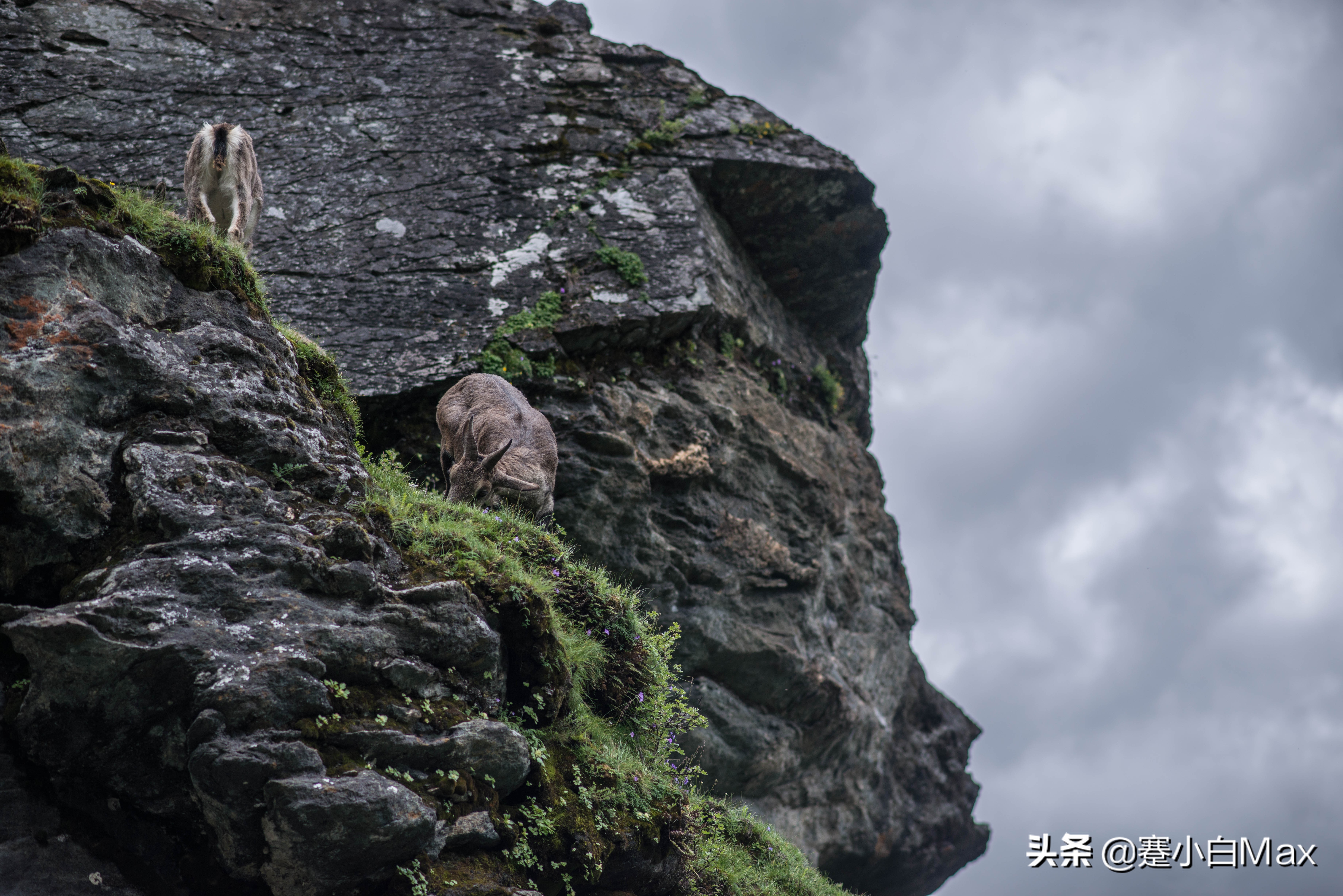 深圳去稻城亚丁自驾游攻略,九寨沟稻城亚丁自驾游攻略