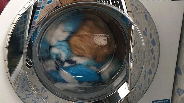 海尔洗衣机晶彩系列如何选择,让洗衣机变智能