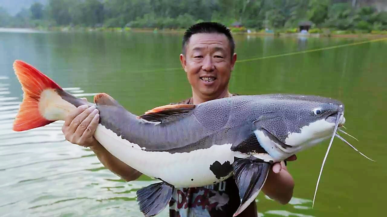 钓鱼男人的十大优点!女人别再执迷不悟,爱钓鱼的男人才值得托付