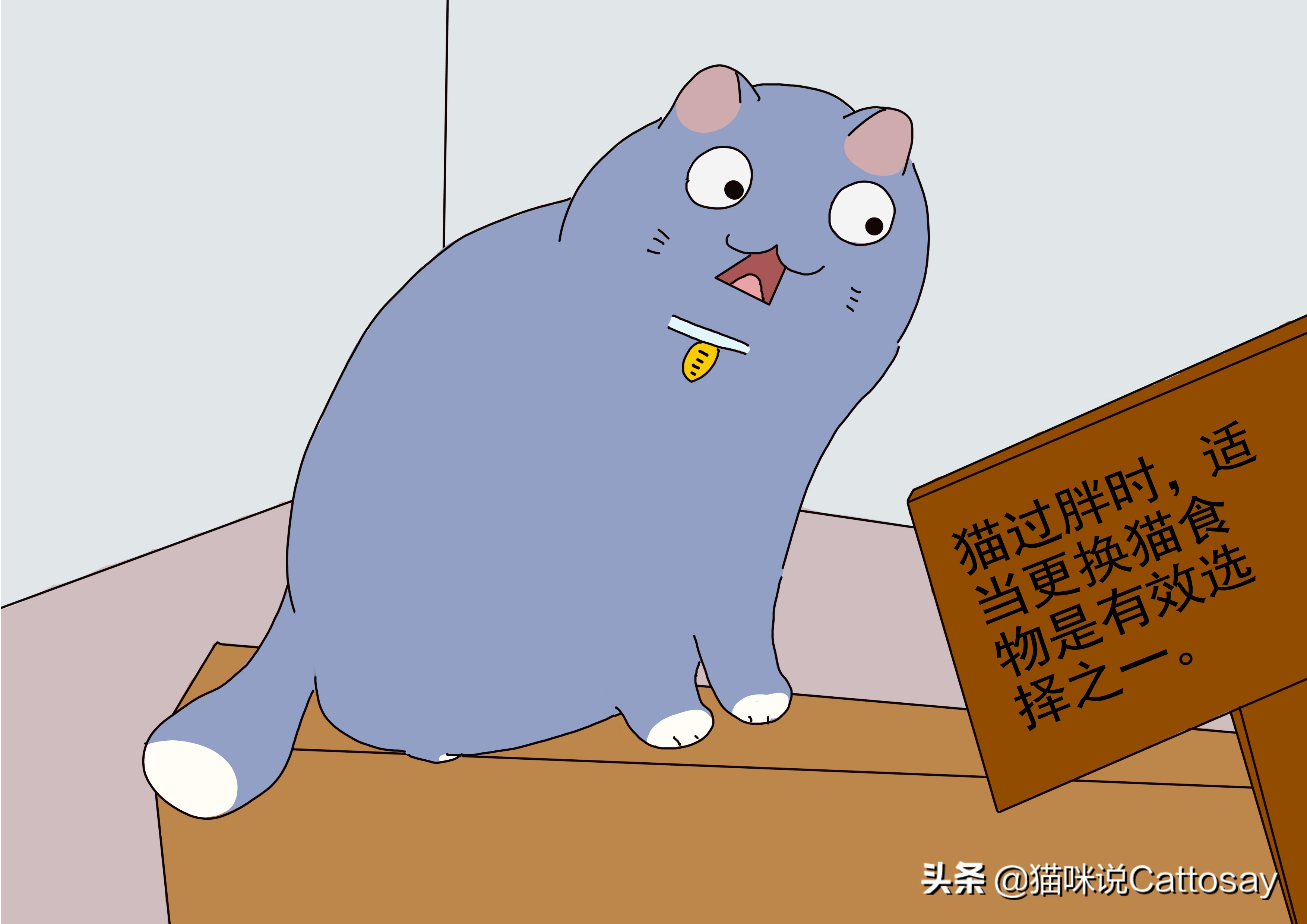 帮助小胖猫减肥的三个步骤,胖猫减肥最有效的方法