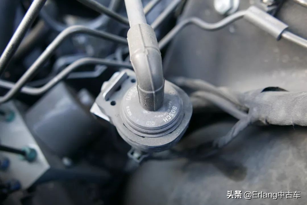 消失的陆地中文版,消失了的陆地