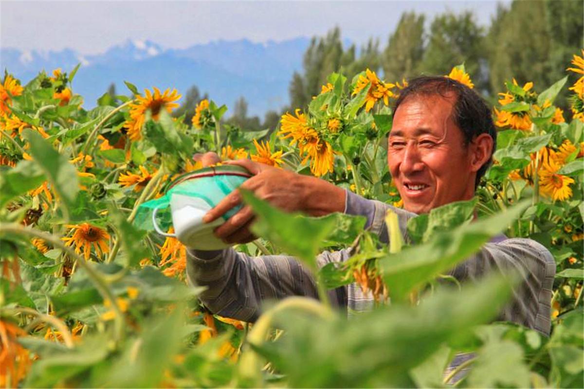 好药难治冤孽病上一句,良药难治冤孽病