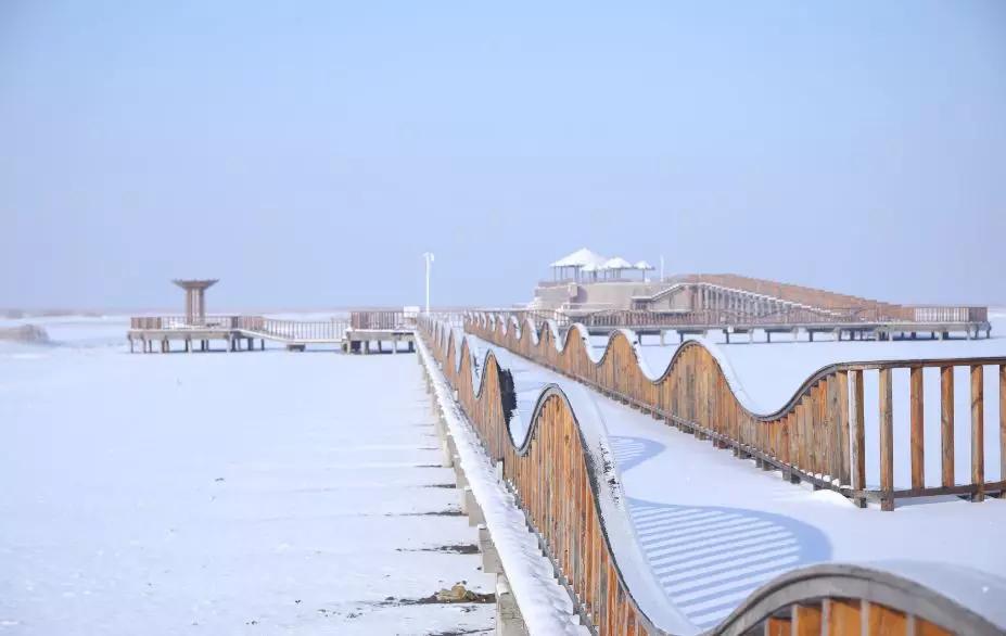 下雪后的海边图片大全,六月份的红海滩