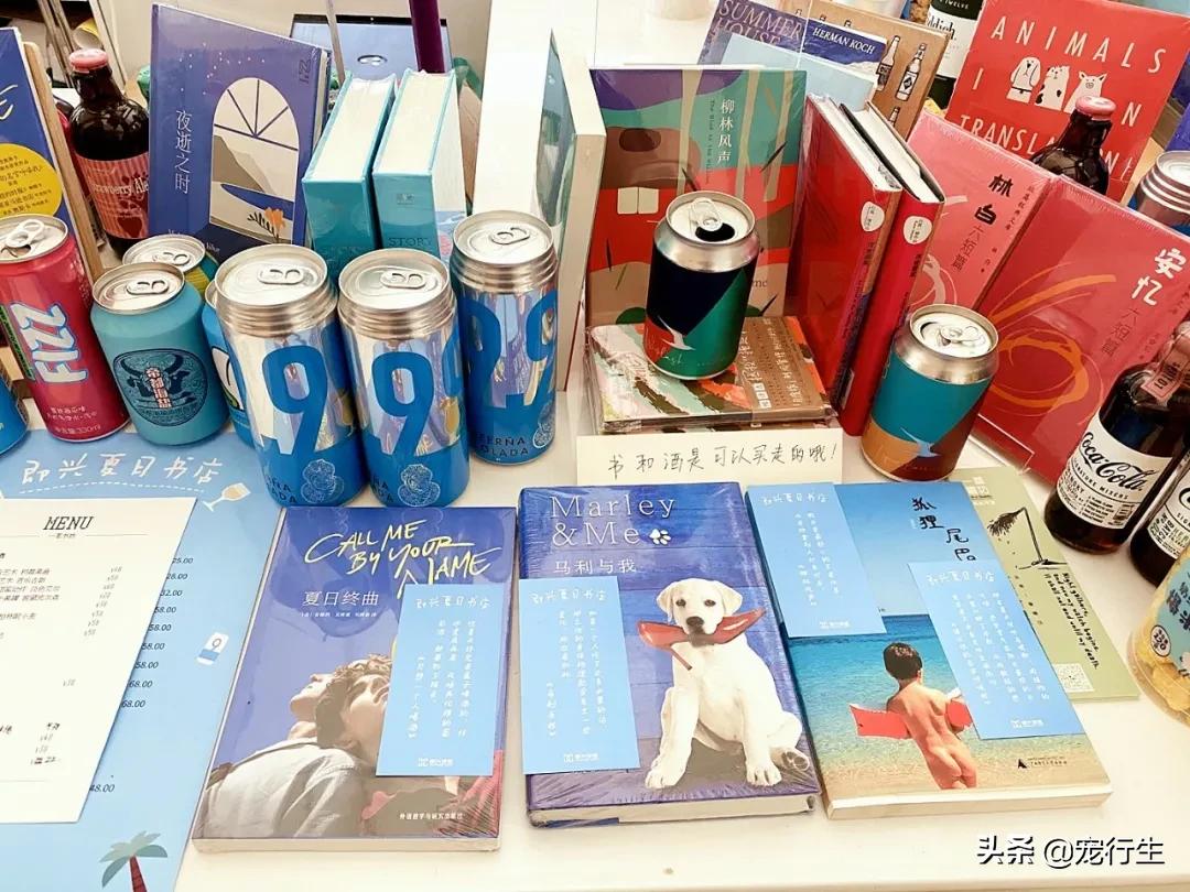 这家宠物快闪集市，怎么拍都好看，学会用宠物视角看世界