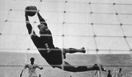 法国足球十大传奇人物,法国足球传奇守门员