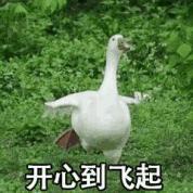 2018去淘宝造物节的女主播,发现新世界优惠券