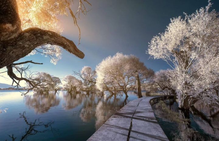 睿创微纳图片,睿创微纳未来