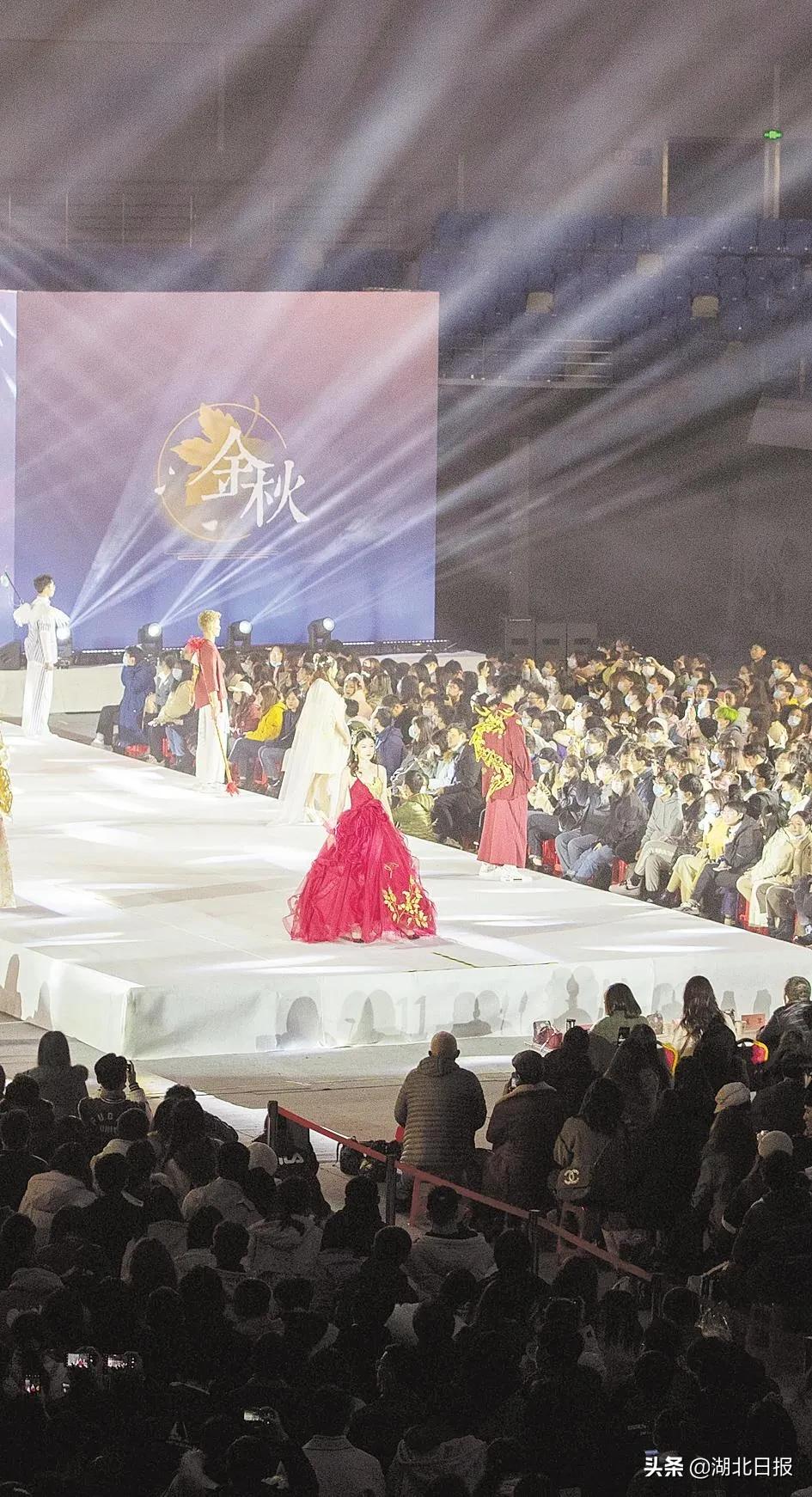 长文最新更新视频,重磅文章最新