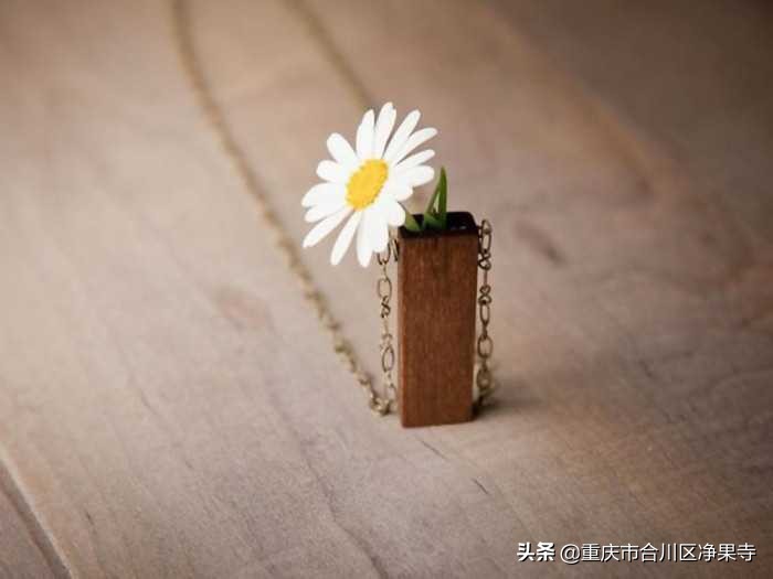 佛教用语南无阿弥陀佛是什么意思,南无阿弥陀佛真正含义