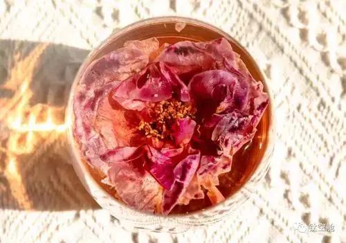 每一朵墨红玫瑰，都带着使命来到这个世界