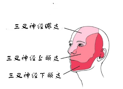 神经外科经典病例演讲,一分钟治愈三叉神经痛