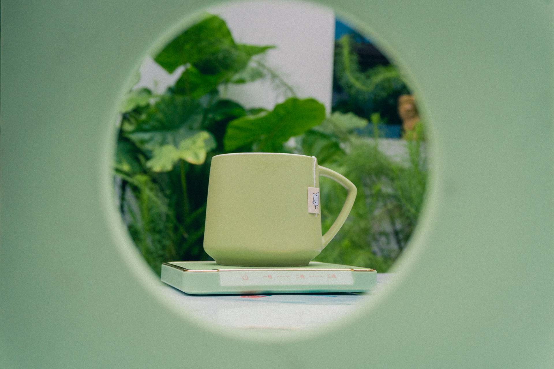 能烧开水的恒温杯垫,大宇恒温杯垫测评好坏