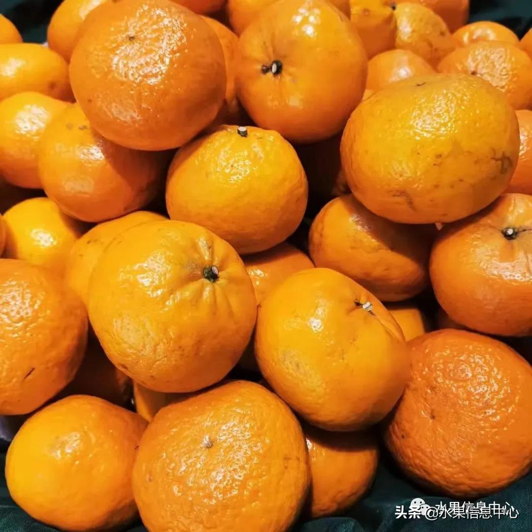 我国柑橘产区分布,柑橘产地行情