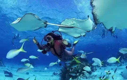 全球惊艳的10个海底世界，看到第一个就想出发！