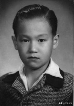 武学成就如李小龙，一生堪称无敌，但琳达却问出了他最害怕的人