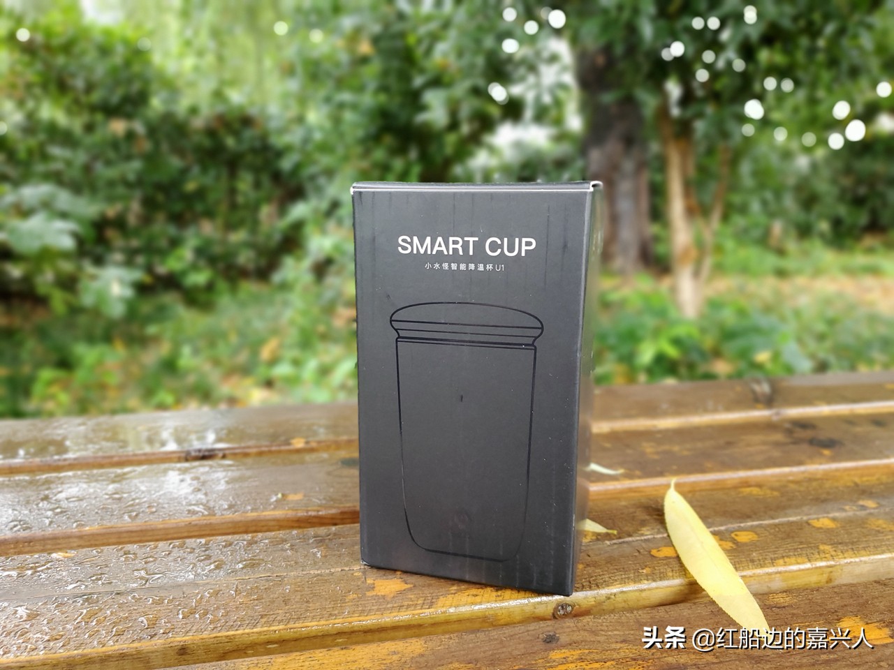 智能温度显示保温杯真的来了,智能温度计保温杯测评