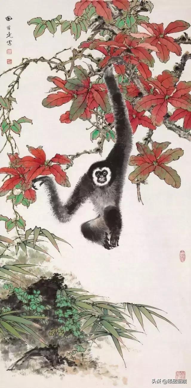 工笔大师田世光,工笔画大师田世光画孔雀好美