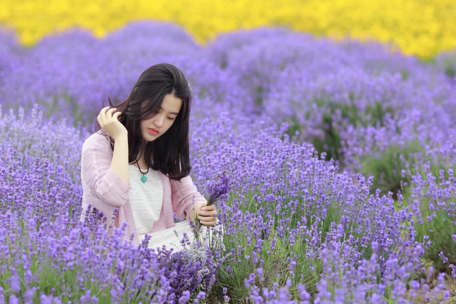 山东省威海蔄山镇,威海蔄山智能制造产业园