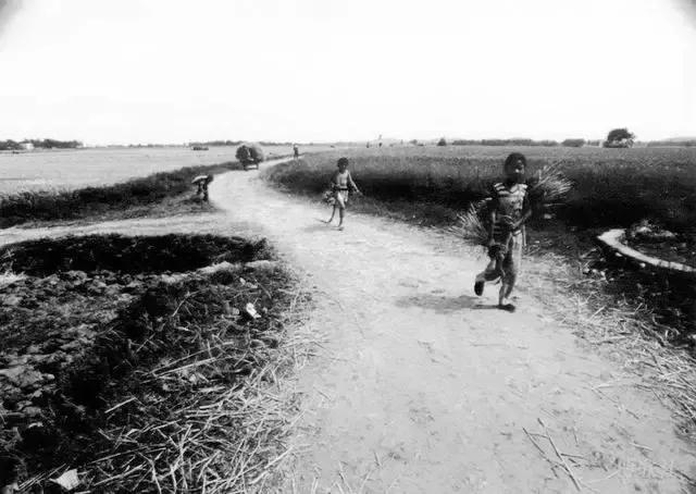 我们曾经放过的麦假