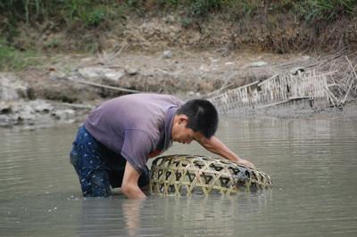 养鱼水质浑浊用什么方法解决,养鱼水质ph偏低怎么办