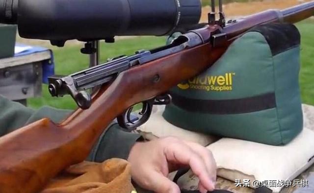 加拿大部队使用的步枪,加拿大步枪