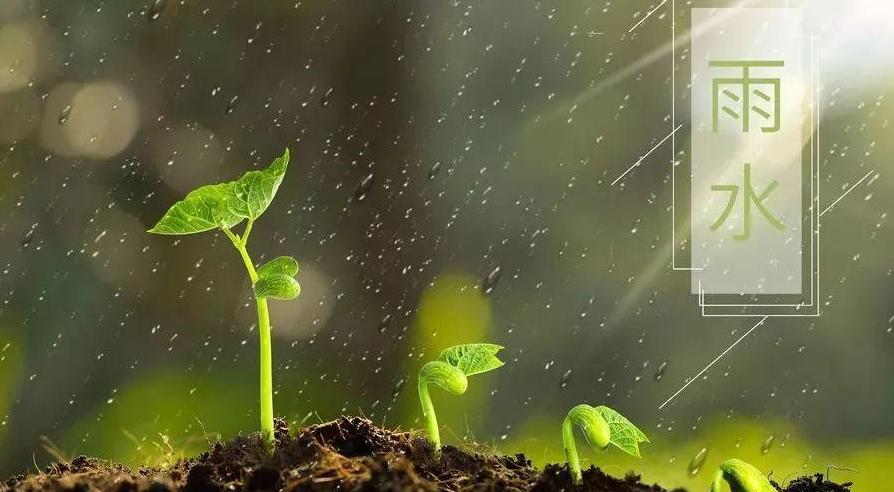 诗词好雨知时节,《春雨》诗词品读