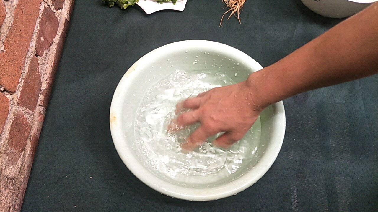 蔬菜发蔫，用这一招绝了，蔬菜立马变得新鲜有活力，赶紧回家试试