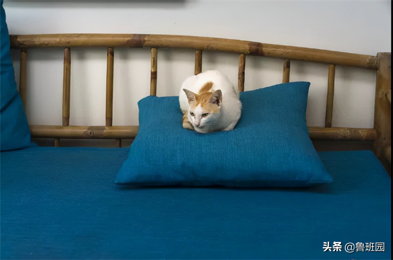 有关竹家具的制作,竹家具的工艺有哪些特点