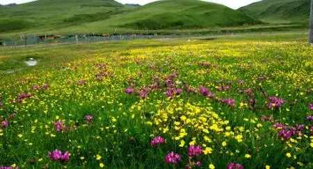 人间天堂美景原唱完整版,人间天堂美丽的丽江