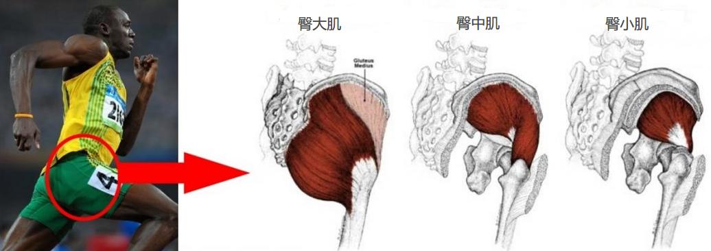 改善扁平臀提升臀线训练,推荐一个激活臀肌的入门级动作