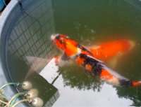 开渔场赚钱吗,开渔场需要多少资金