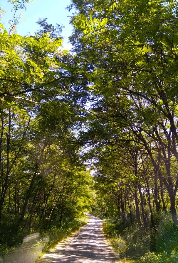 咸阳纳凉避暑好去处免费,西安咸阳避暑纳凉好去处