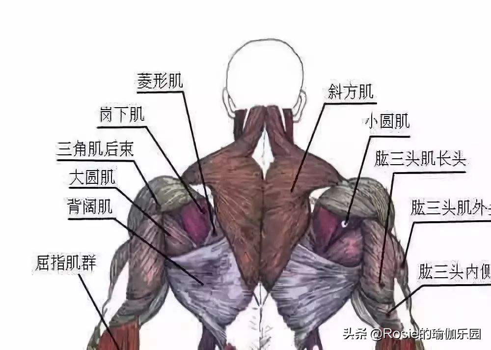 方领衣服肩带老是往下掉怎么办,穿衣服领口老是往下掉