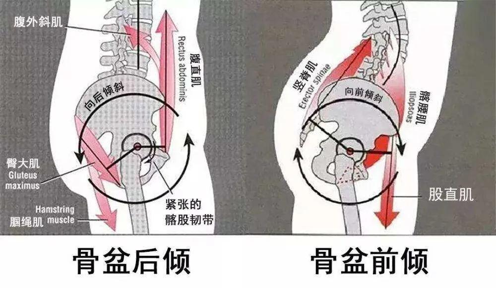 5天极速改善腿型,15天改善腿型的动作