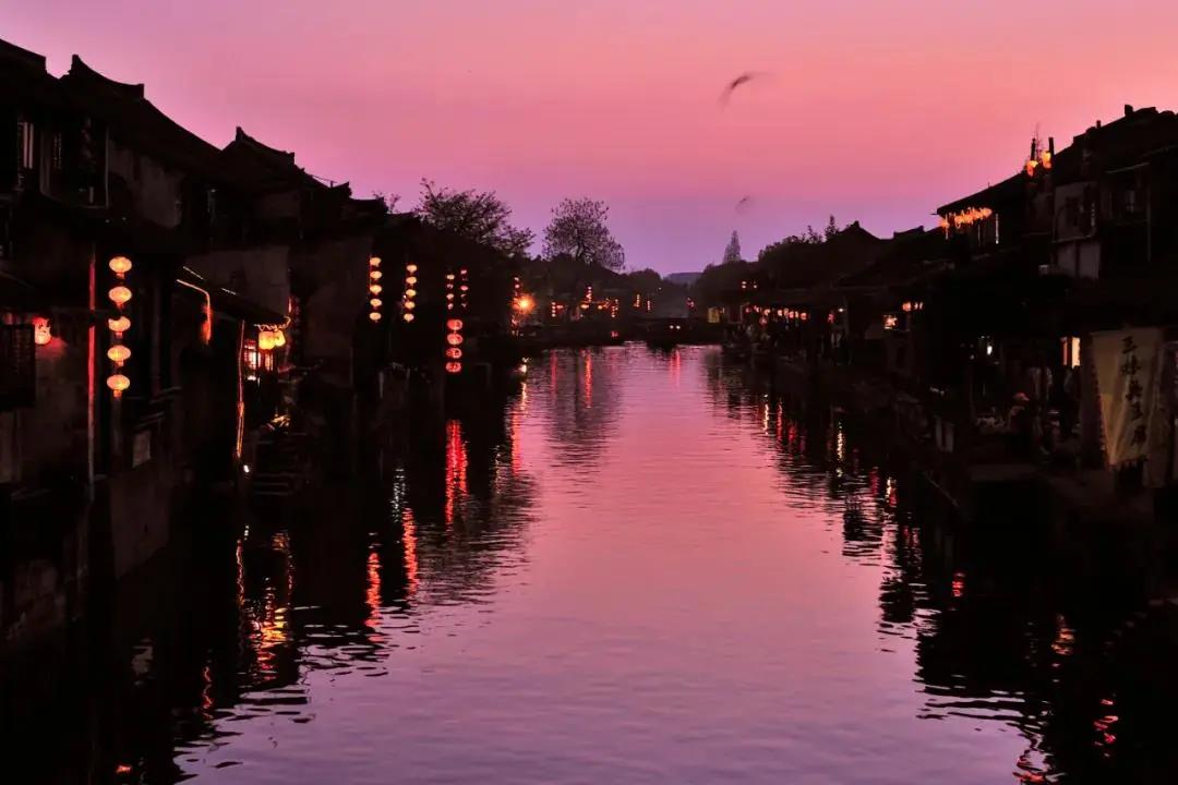 厉害了浙江嘉善00后,实力嘉善