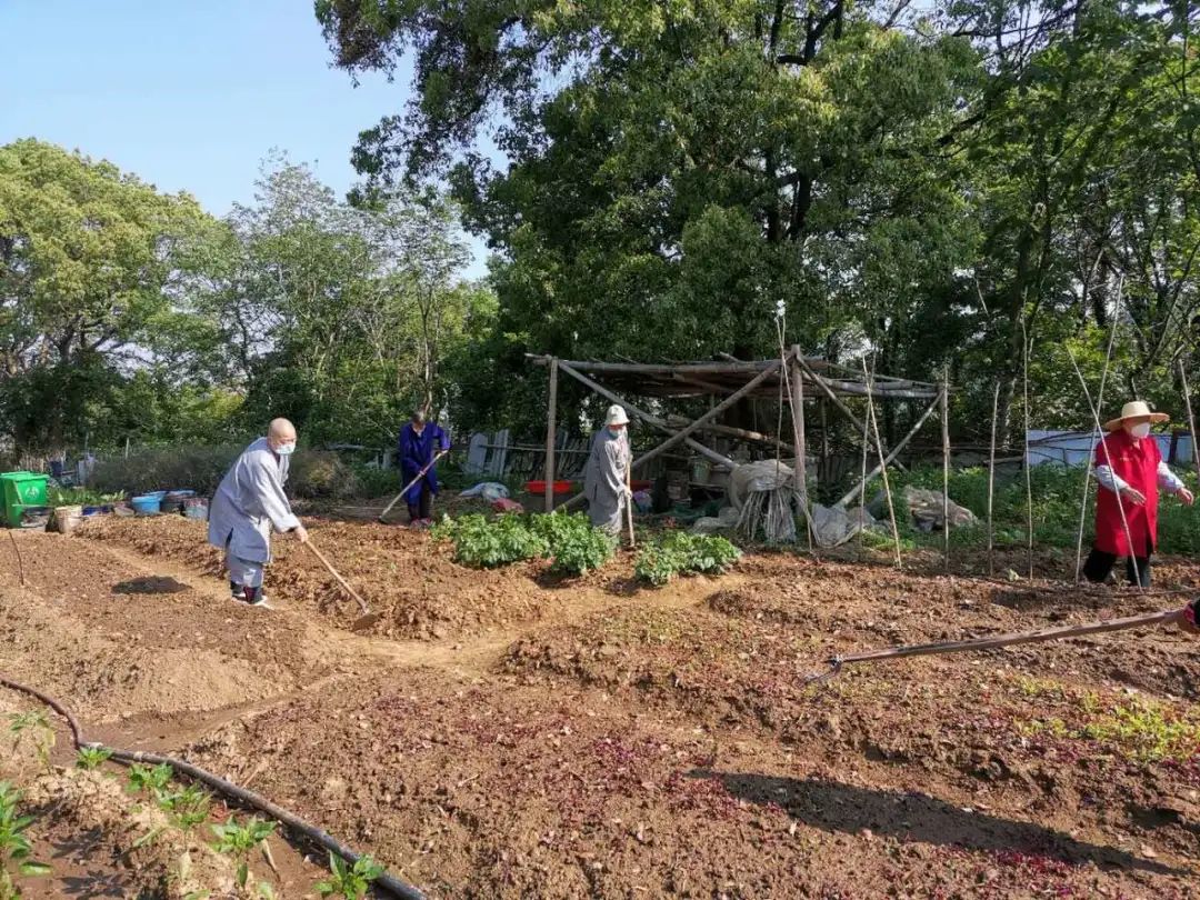 抢抓农时开展农业生产,农民纷纷抢抓春耕生产有利时机