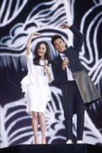 杨幂的个人经历,杨幂的经历