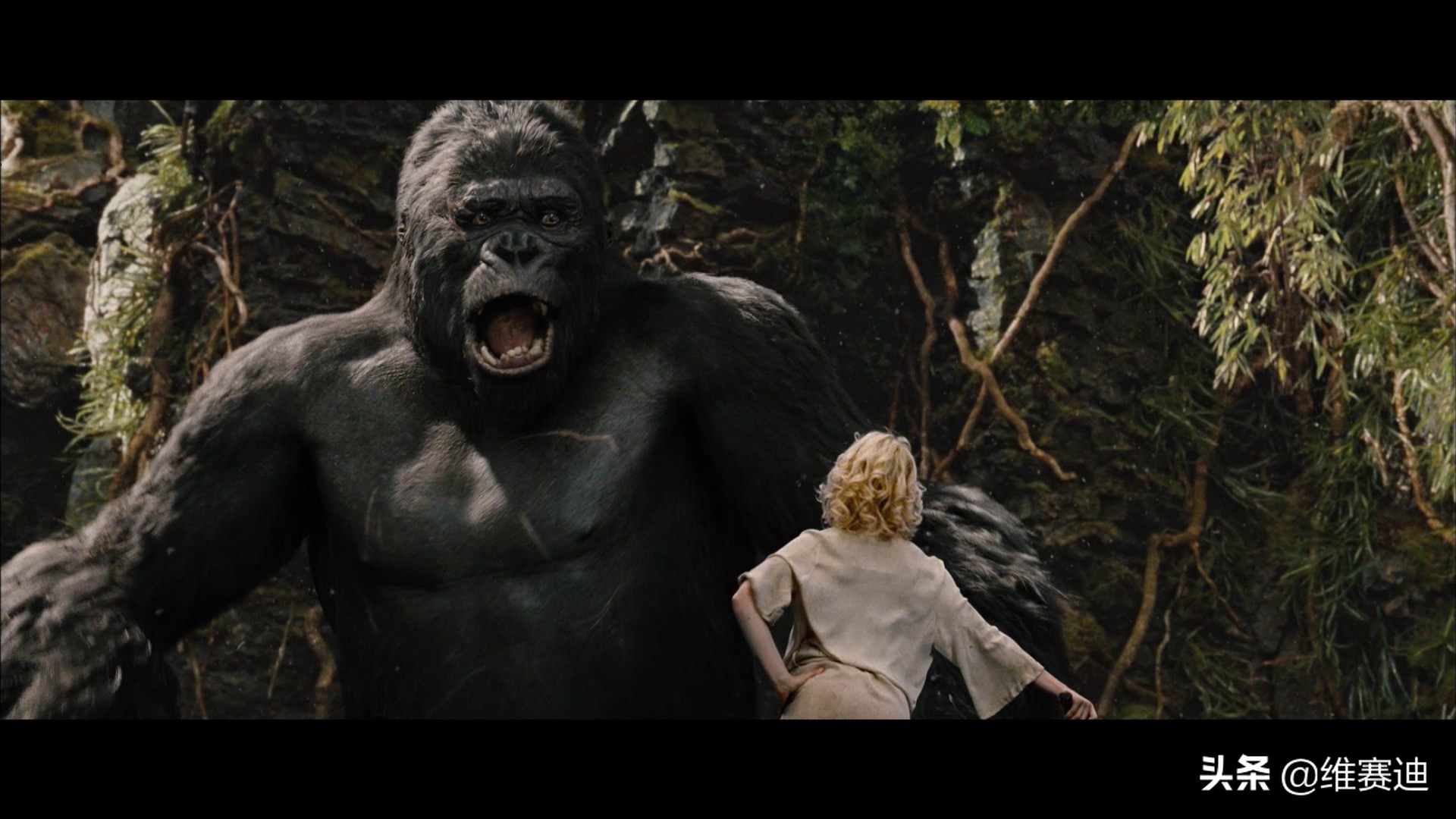 金刚电影各种怪兽排名,金刚骷髅岛大战怪兽电影